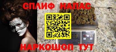 сатива Славгород