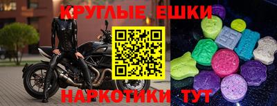 сатива Славгород