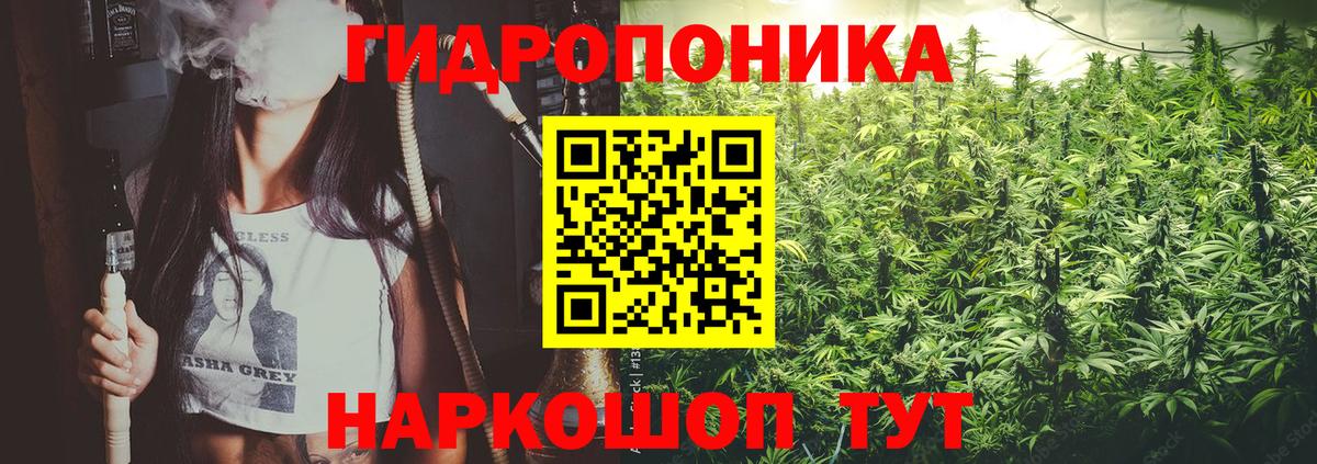 Конопля AK-47 Муром